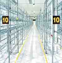 Foto Palettenregal TS